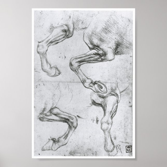 Study of a Horse's Legs, Leonardo Da Vinci Poster (Front)
