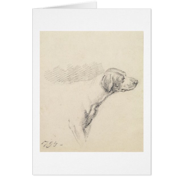 Study of a Hound, 1794 (pencil on paper) (Front)