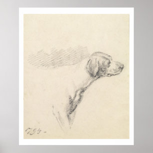 Study of a Hound, 1794 (pencil on paper) Poster
