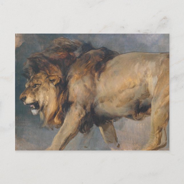 Study of a Lion (by Edwin Henry Landseer) Postcard (Front)