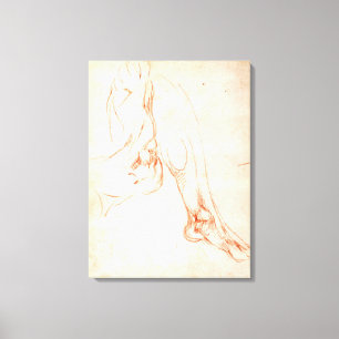 Study of a lower leg and foot canvas print