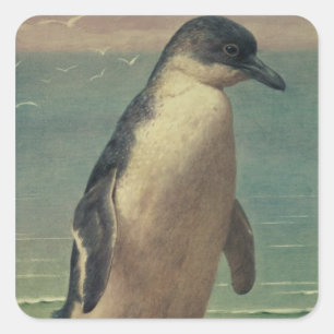 Study of a Penguin Square Sticker