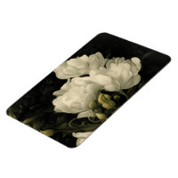 Study of a Peony Flower