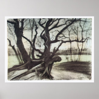 Study of a Tree by Vincent Van Gogh Poster