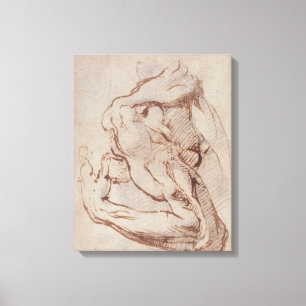 Study of an Arm Inv.1859/5/14/819 Canvas Print