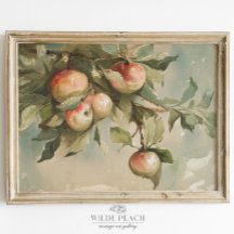 Study of Apples Vintage Watercolor Painting