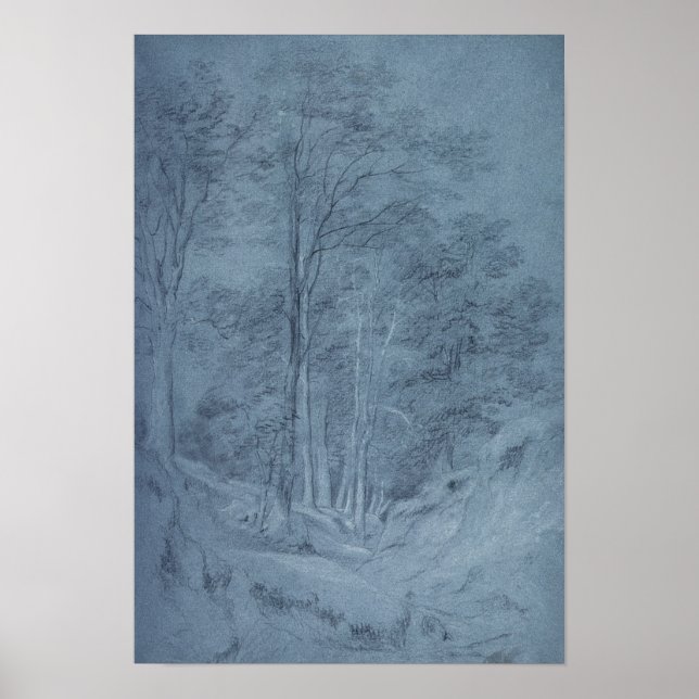 Study of ash and other trees poster (Front)