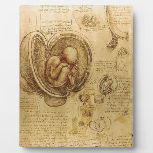 Study of baby foetus by Leonardo da Vinci Plaque