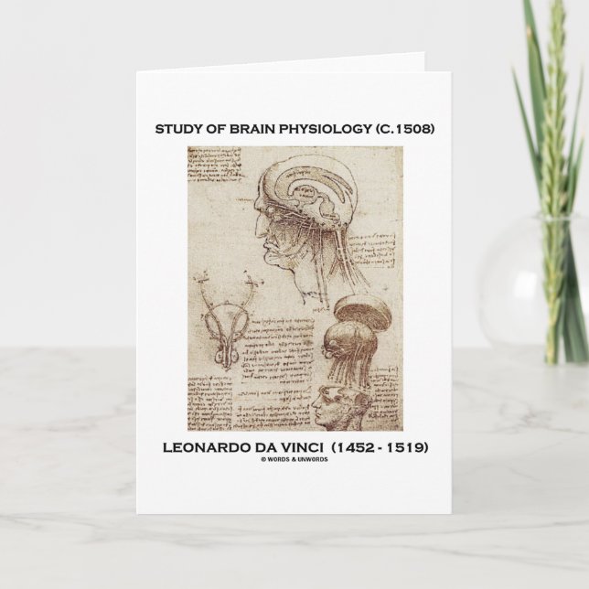 Study Of Brain Physiology (Leonardo da Vinci 1508) Card (Front)