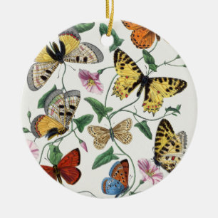 Study of diurnal butterflies by Paul Gervais Ceramic Tree Decoration
