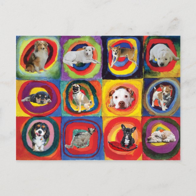 Study of Dogs Postcard (Front)