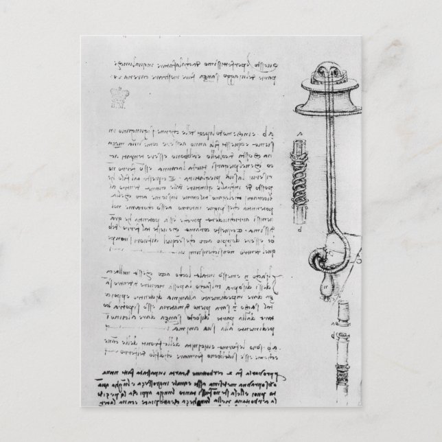 Study of floater with breathing tubes for diver postcard (Front)