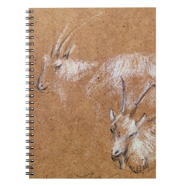 Study of Goats (drawing) Spiral Notebook (Front)
