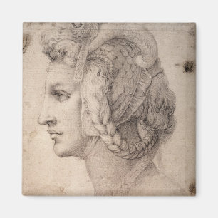 Study of Head Magnet