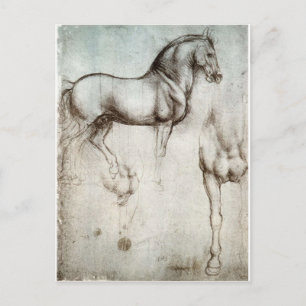 Study of horse. postcard