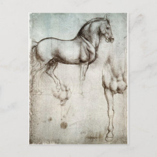Study of horse. postcard