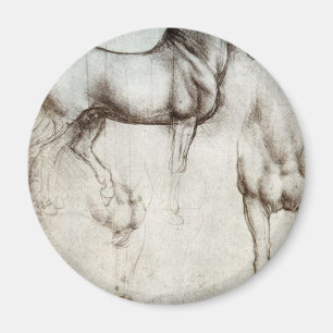 Study of horses - Leonardo da Vinci Magnet
