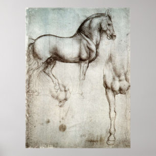 Study of Horses Poster