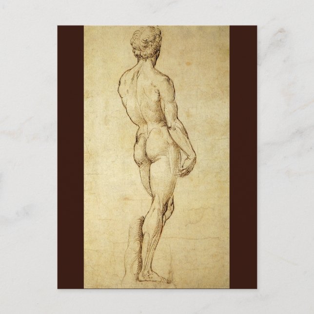 Study of Michelangelo's David Statue by Raphael Postcard (Front)