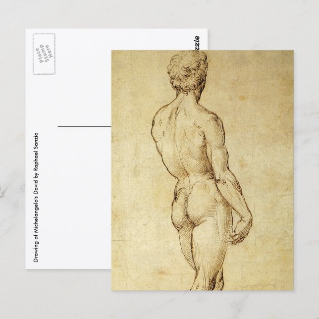 Study of Michelangelo's David Statue by Raphael Postcard (Front/Back)