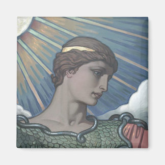 Study of Minerva Magnet