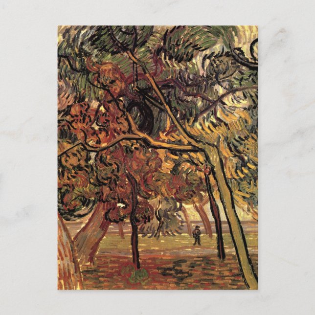 Study of Pine Trees by Vincent van Gogh Postcard (Front)