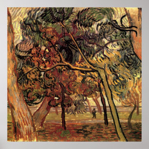Study of Pine Trees by Vincent van Gogh Poster
