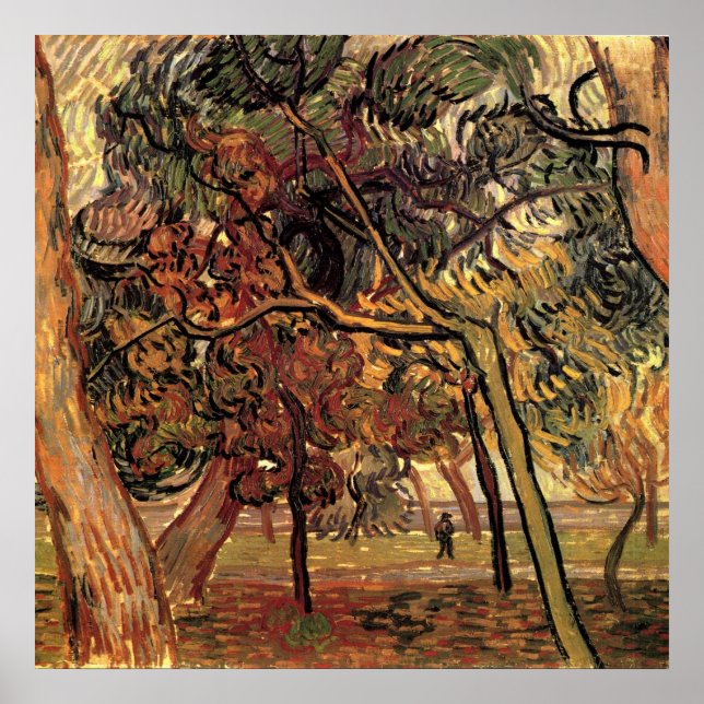 Study of Pine Trees by Vincent van Gogh Poster (Front)
