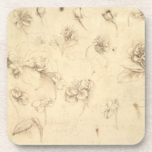 Study of the Flowers of Grass-like Plants (Briza M Coaster