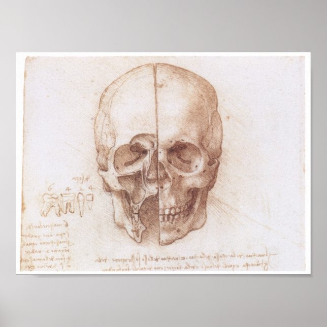 Study of the Human Skull, Leonardo da Vinci Poster (Front)