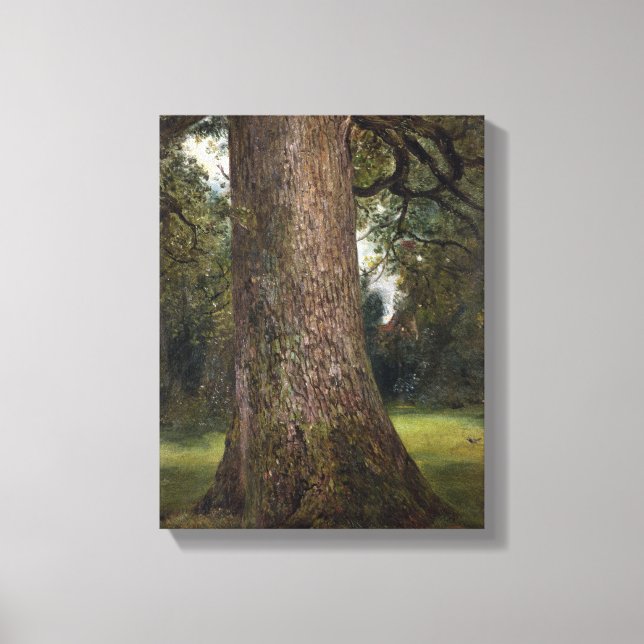 Study of the Trunk of an Elm Tree, c.1821 (oil on Canvas Print (Front)
