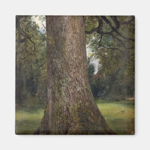 Study of the Trunk of an Elm Tree, c.1821 (oil on Magnet
