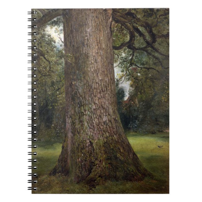 Study of the Trunk of an Elm Tree, c.1821 (oil on Spiral Notebook (Front)