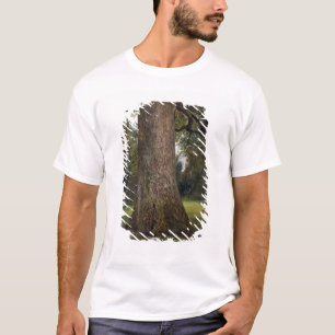 Study of the Trunk of an Elm Tree, c.1821 (oil on T-Shirt