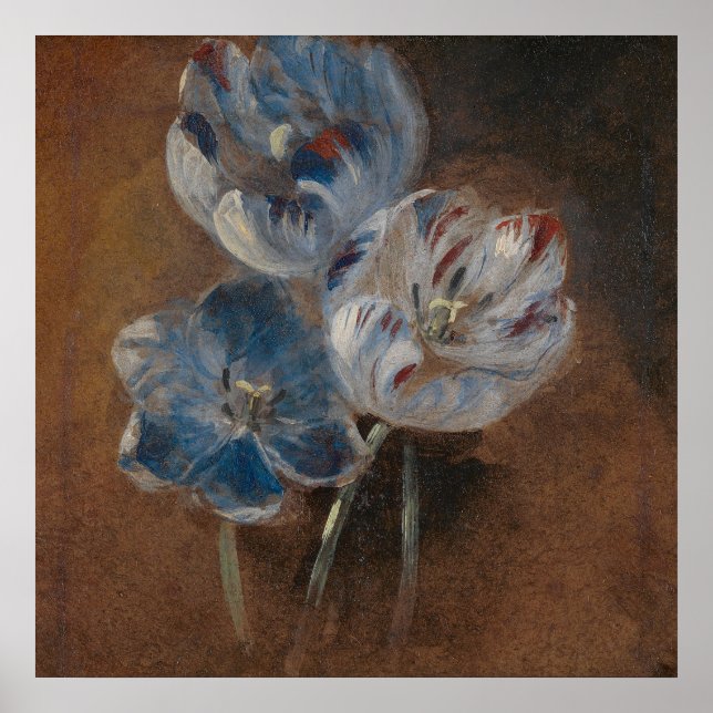 Study of Three Parrot Tulips (Attrib. Constable) Poster (Front)