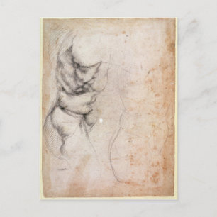 Study of torso and buttock postcard
