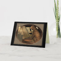 Studying Cat Lessons