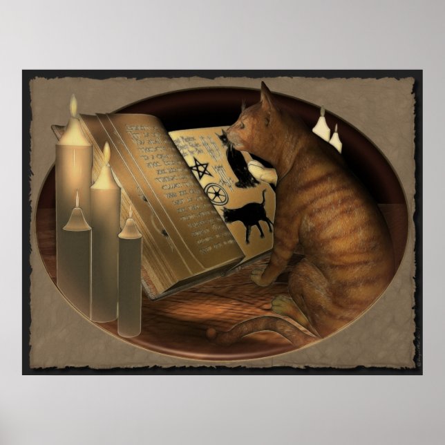 Studying Cat Lessons Print (Front)