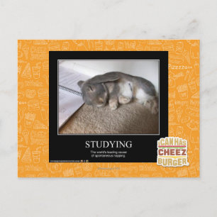 Studying Postcard