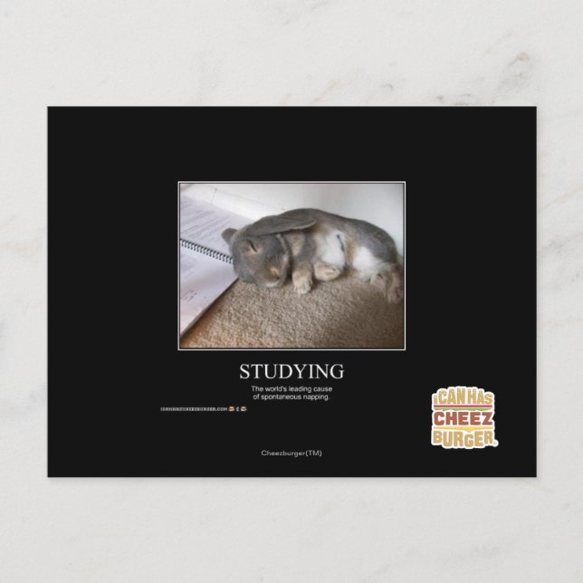 Studying Postcard (Front)