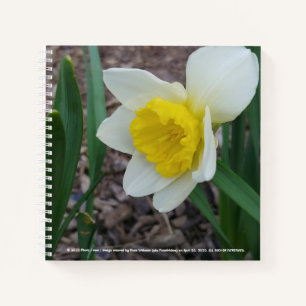 Stuff I Like Notebook by RoseWrites