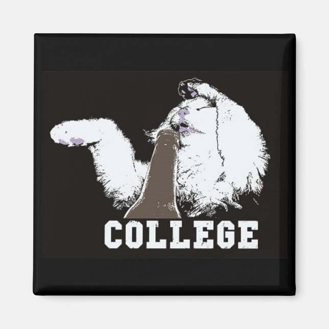 stuff on my cat - magnet (Front)