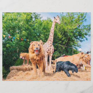 Stuffed animals flyer