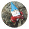 Stumped Gnome