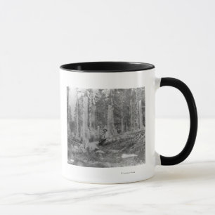 Stumps of Trees Cut down by Donner Party Mug