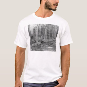 Stumps of Trees Cut down by Donner Party T-Shirt