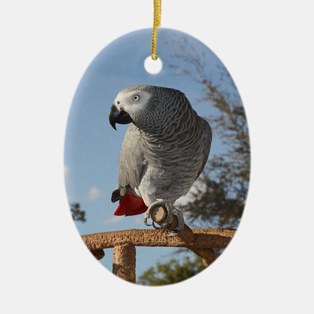 Stunning African Grey Parrot Ceramic Tree Decoration (Front)