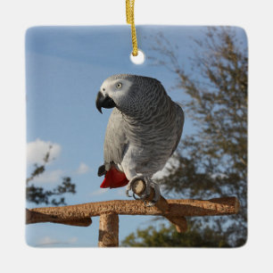 Stunning African Grey Parrot Ceramic Tree Decoration