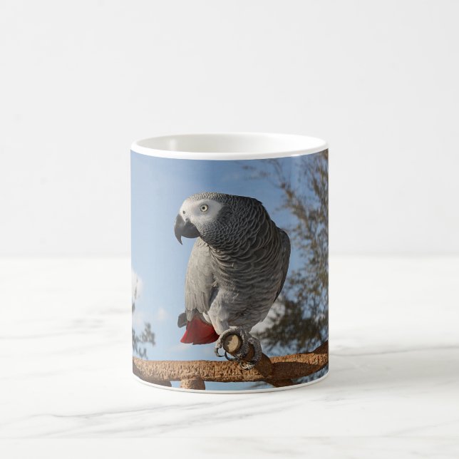 Stunning African Grey Parrot Coffee Mug (Center)