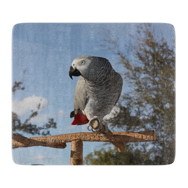 Stunning African Grey Parrot Cutting Board (Front)